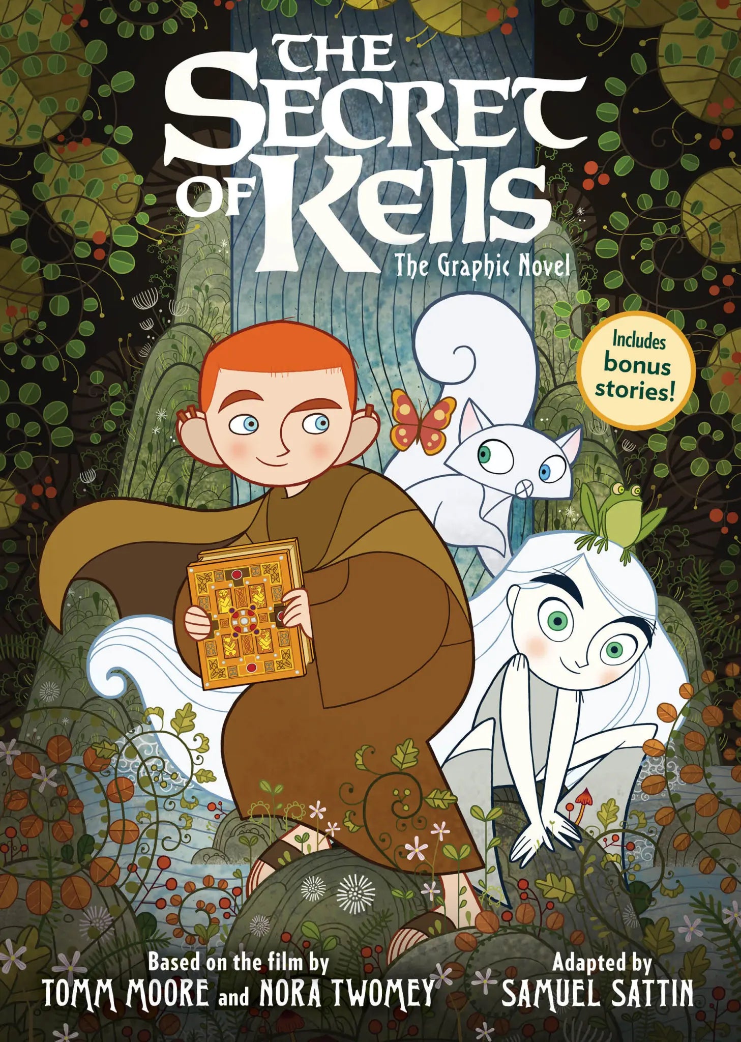 The Secret of Kells Graphic Novel